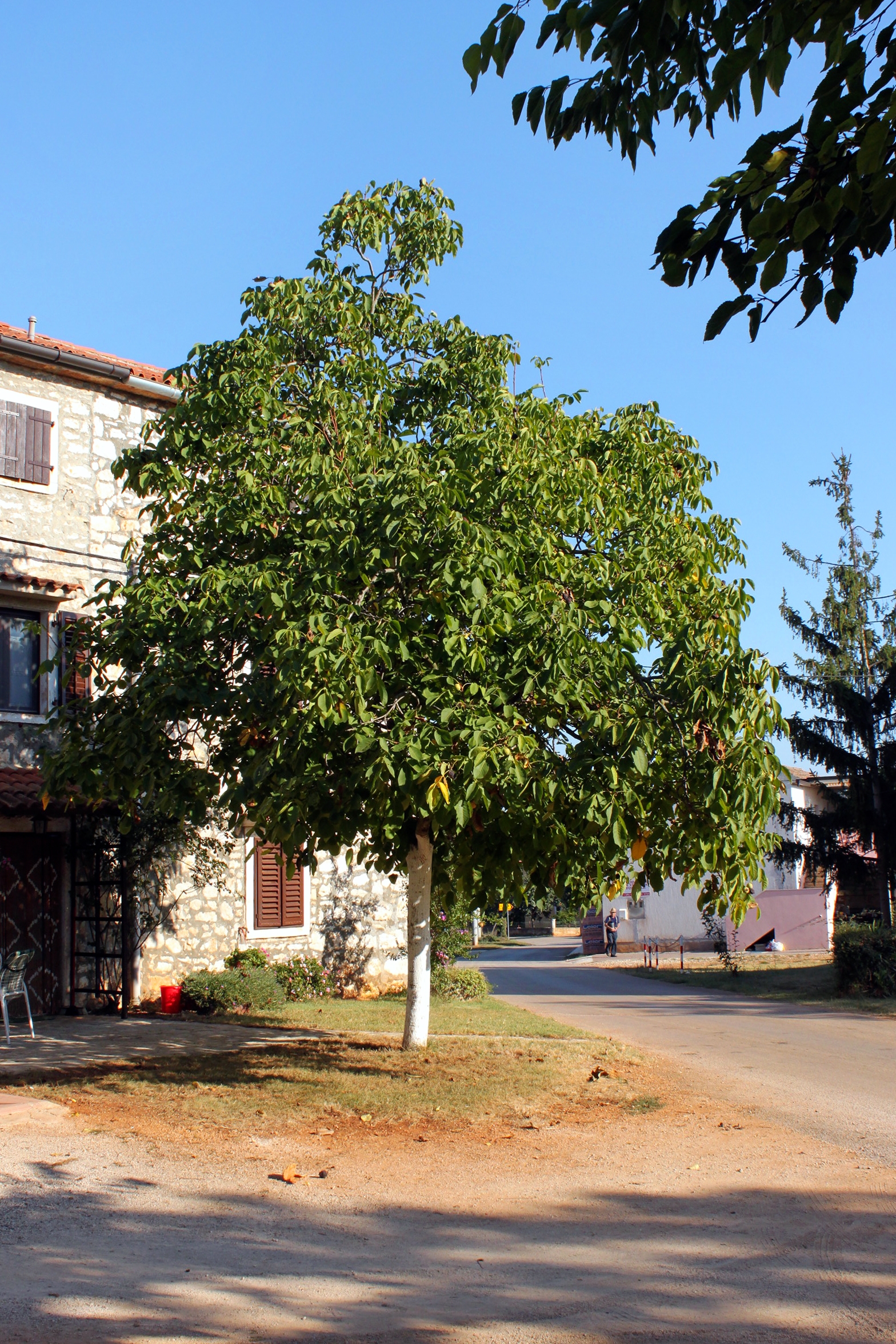 Kje bivati v Barići