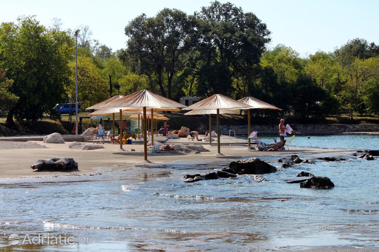Spiagge nelle vicinanze - Appartamenti con parcheggio Mareda, Novigrad