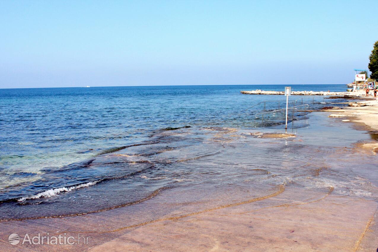 Spiagge nelle vicinanze - Appartamenti con parcheggio Mareda, Novigrad