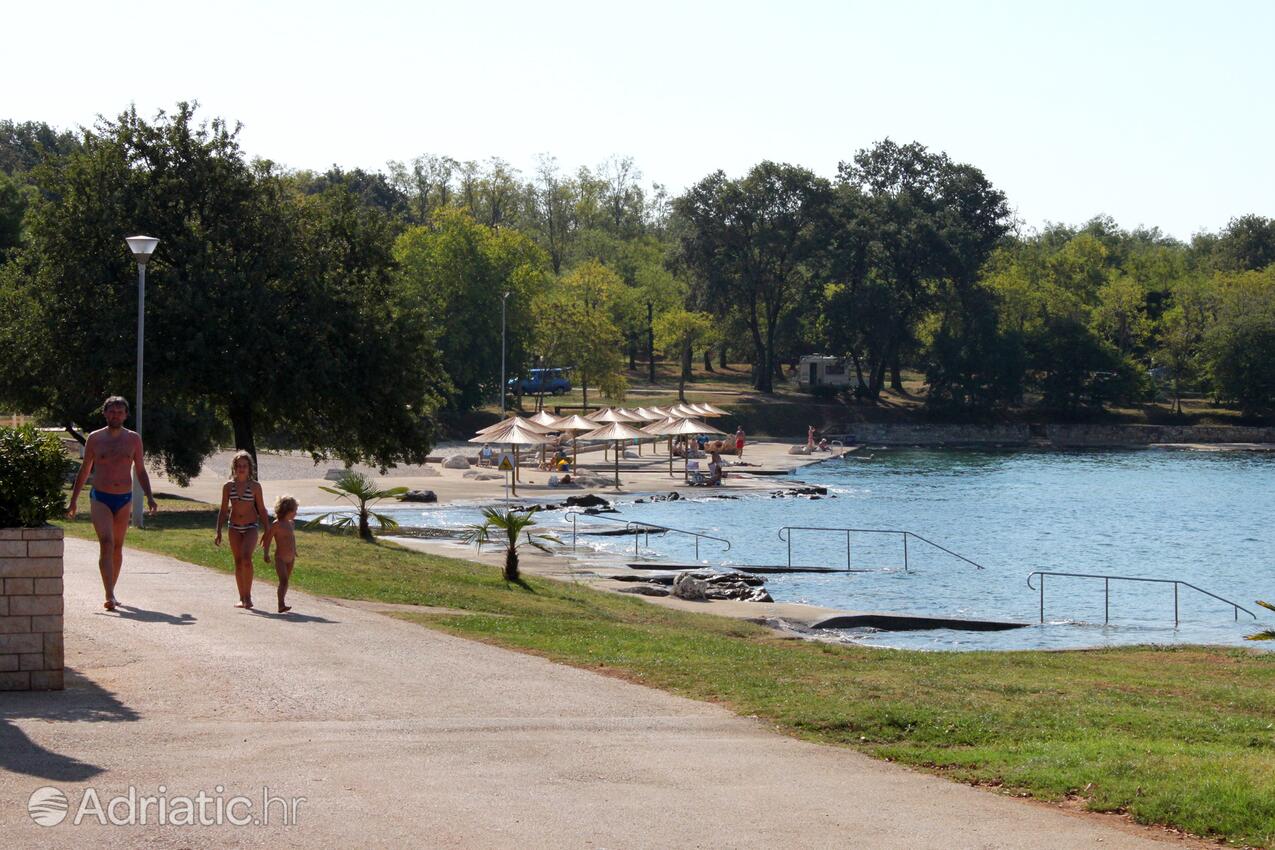Spiagge nelle vicinanze - Appartamenti con parcheggio Mareda, Novigrad