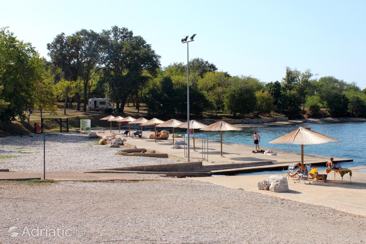 Spiagge nelle vicinanze - Appartamenti con parcheggio Mareda, Novigrad