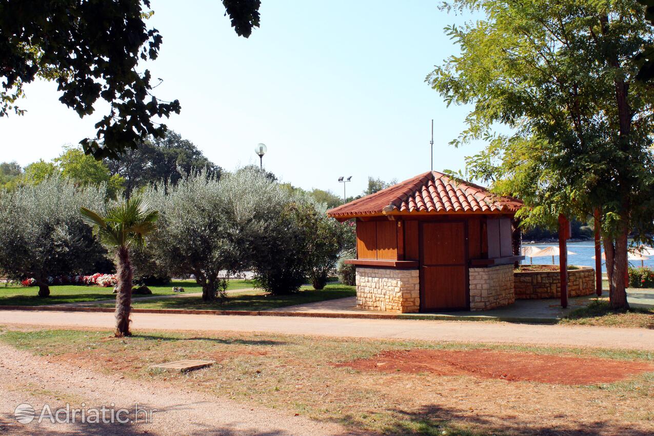 Spiagge nelle vicinanze - Appartamenti con parcheggio Mareda, Novigrad