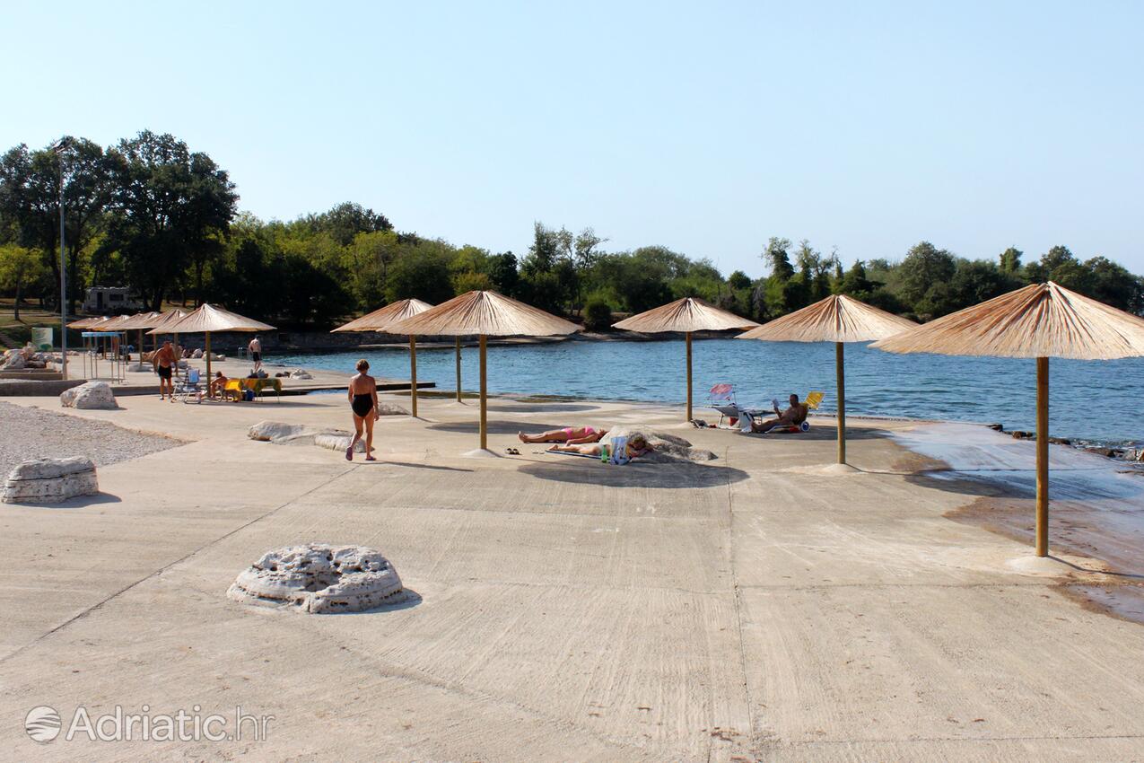 Spiagge nelle vicinanze - Appartamenti con parcheggio Mareda, Novigrad