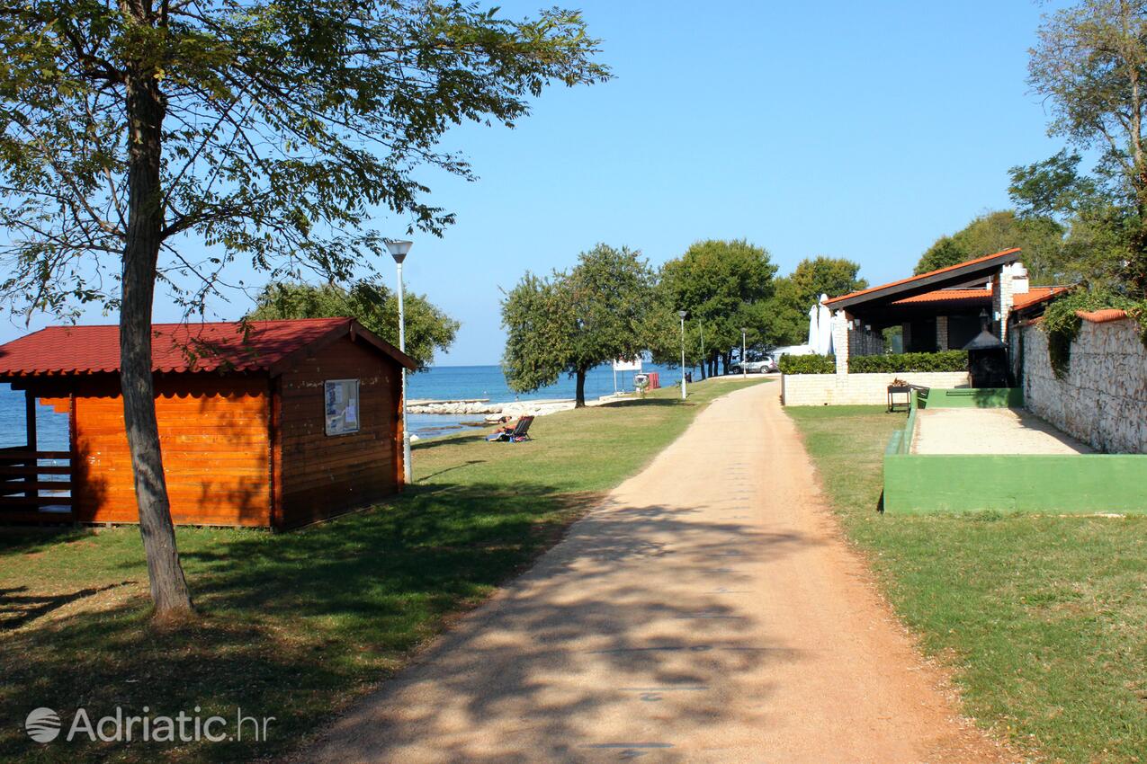 Spiagge nelle vicinanze - Appartamenti con parcheggio Mareda, Novigrad
