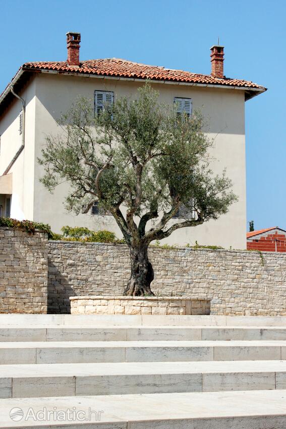 Vabriga in Poreč riviera (Istra)