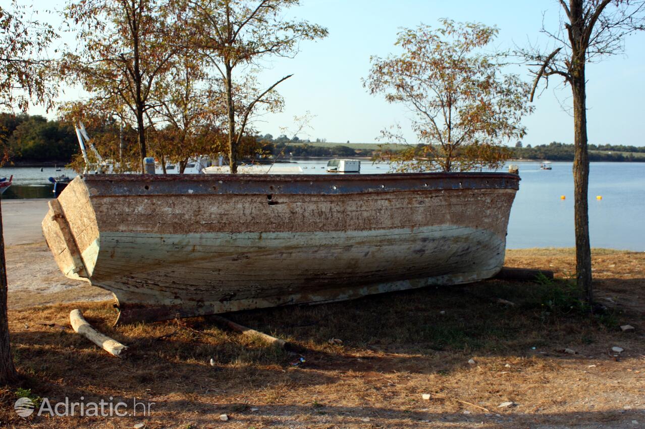 Vabriga in Poreč riviera (Istra)
