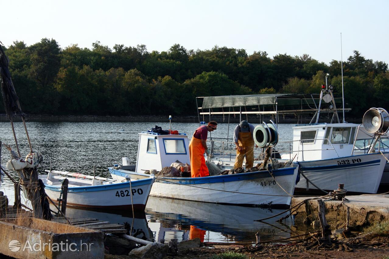 Vabriga in Poreč riviera (Istra)