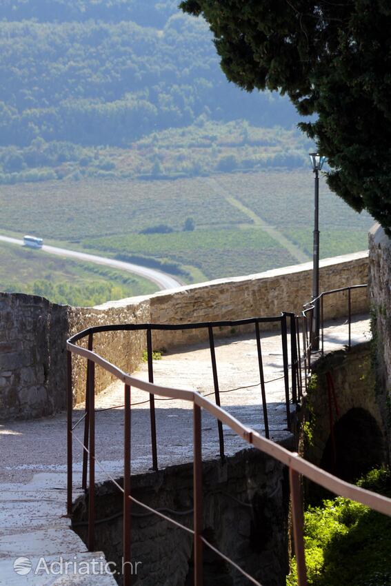 Motovun in riviera Središnja Istra (Istra)