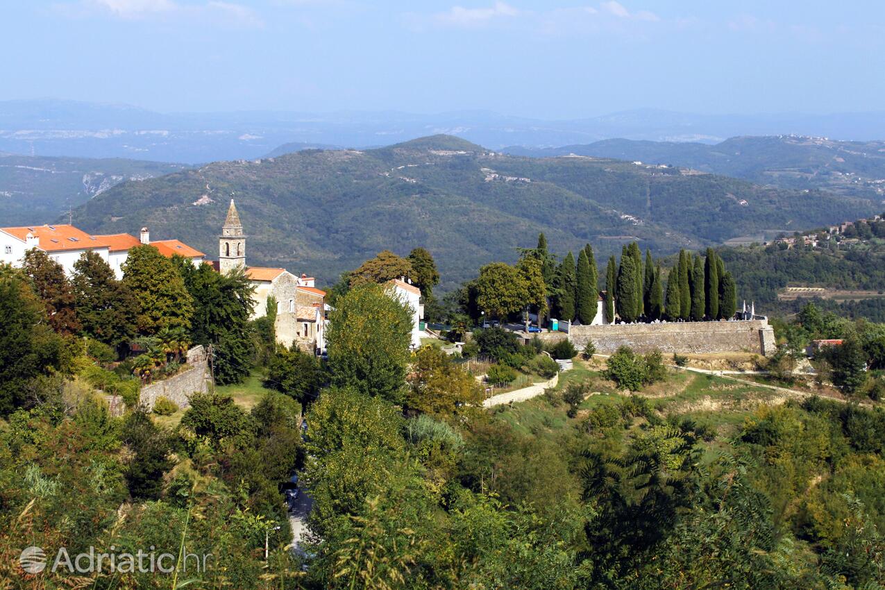 Motovun in riviera Središnja Istra (Istra)