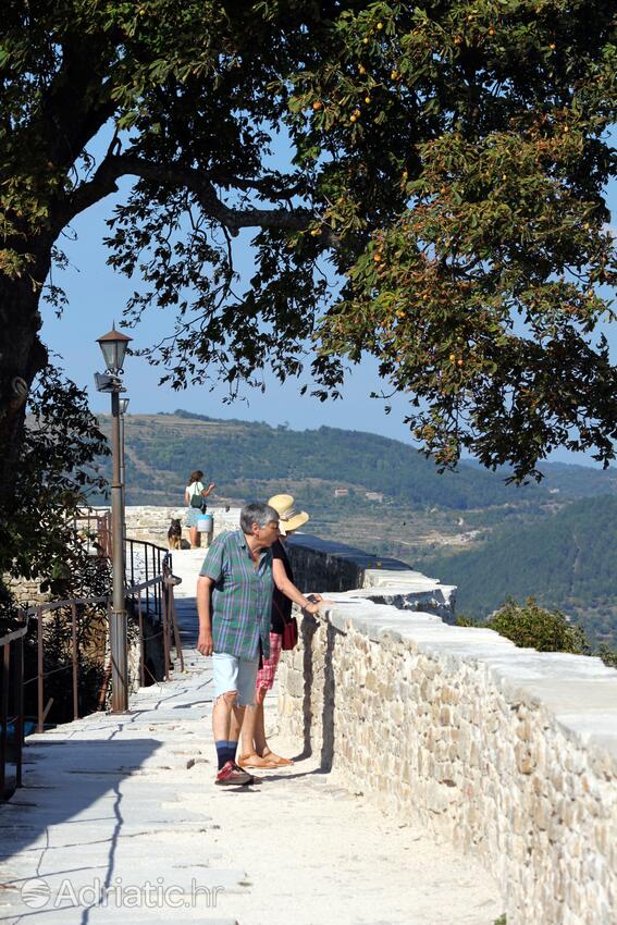 Motovun an der Riviera Središnja Istra (Istra)