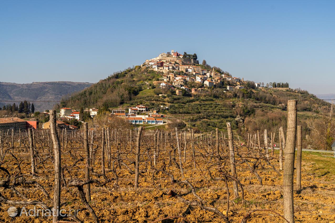 Motovun in riviera Središnja Istra (Istra)