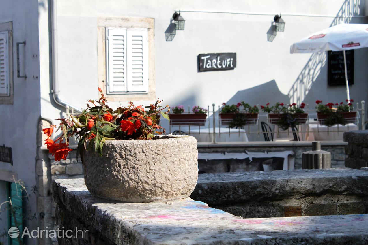 Motovun an der Riviera Središnja Istra (Istra)