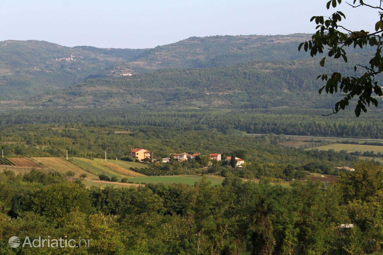 Motovun - Bataji dans la côte Središnja Istra (Istra)