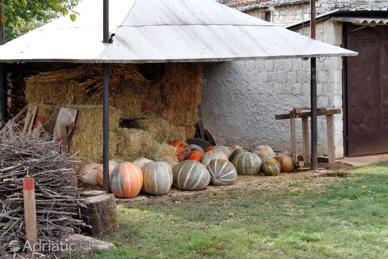 Celići in riviera Središnja Istra (Istra)