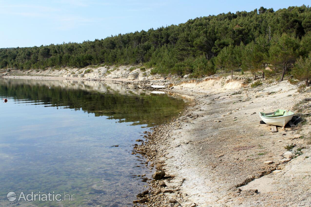 Spiagge nelle vicinanze - Casa con piscina per famiglia Pridraga - Cuskijas, Novigrad