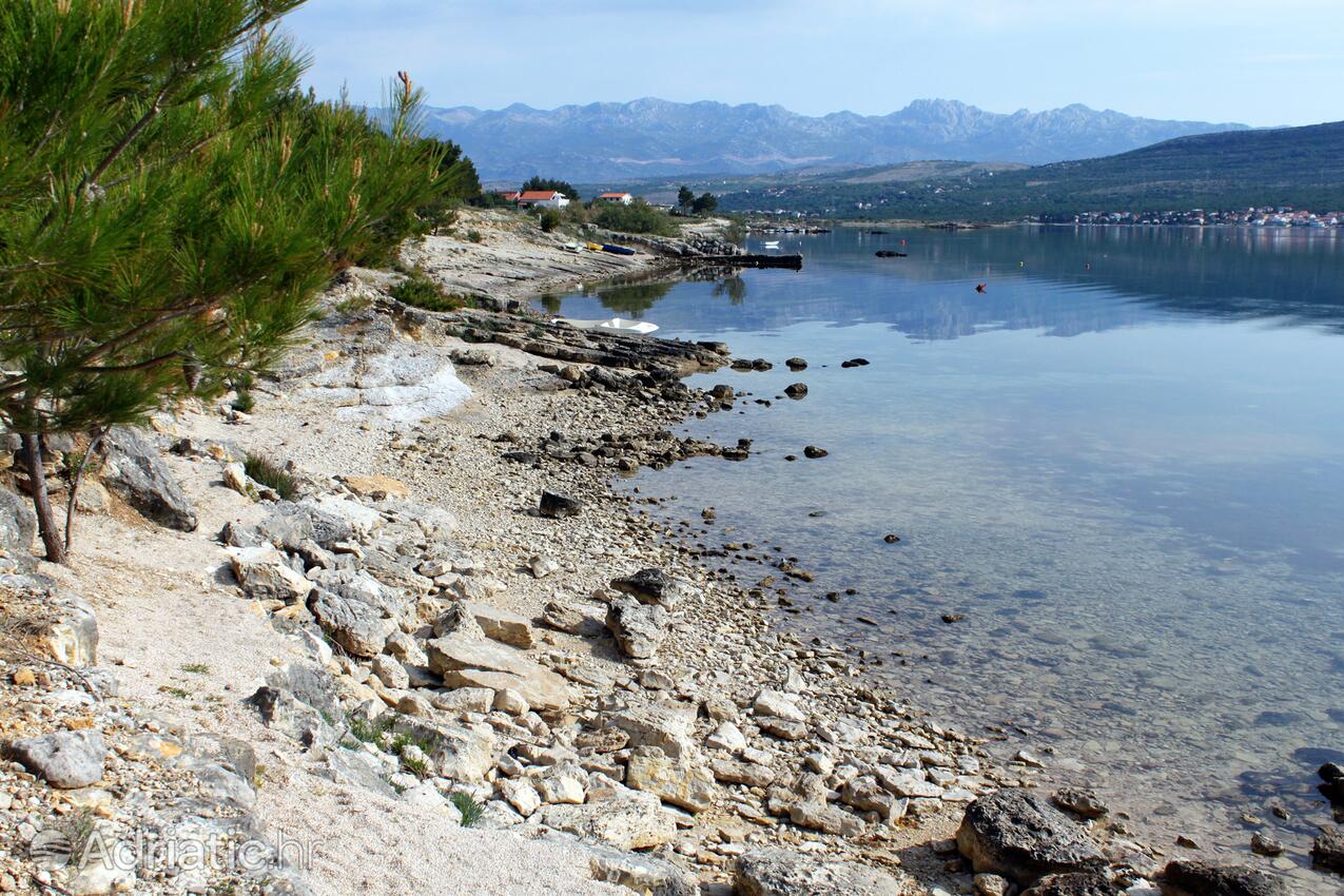 Spiagge nelle vicinanze - Casa con piscina per famiglia Pridraga - Cuskijas, Novigrad