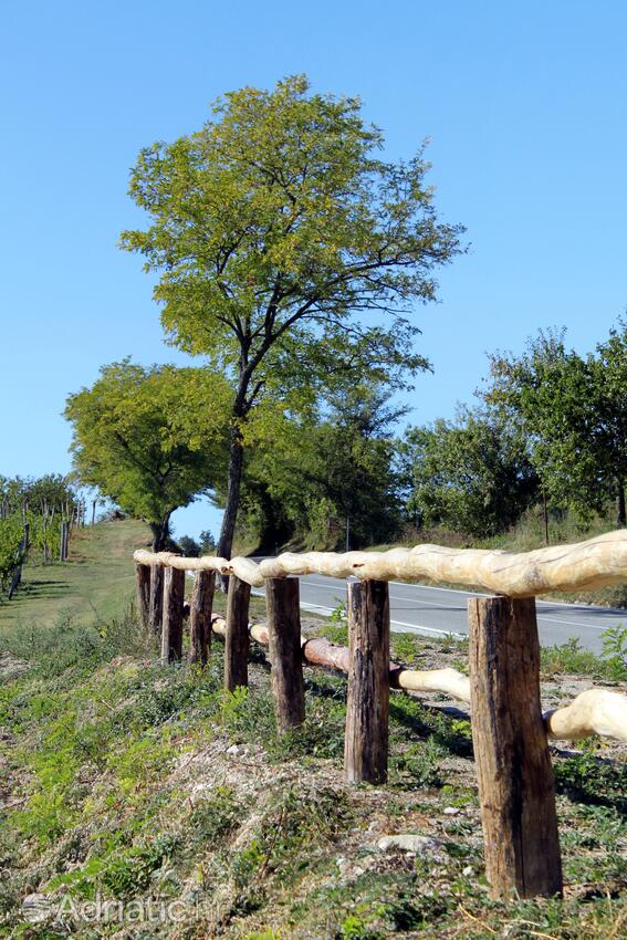 Gračišće in riviera Središnja Istra (Istra)