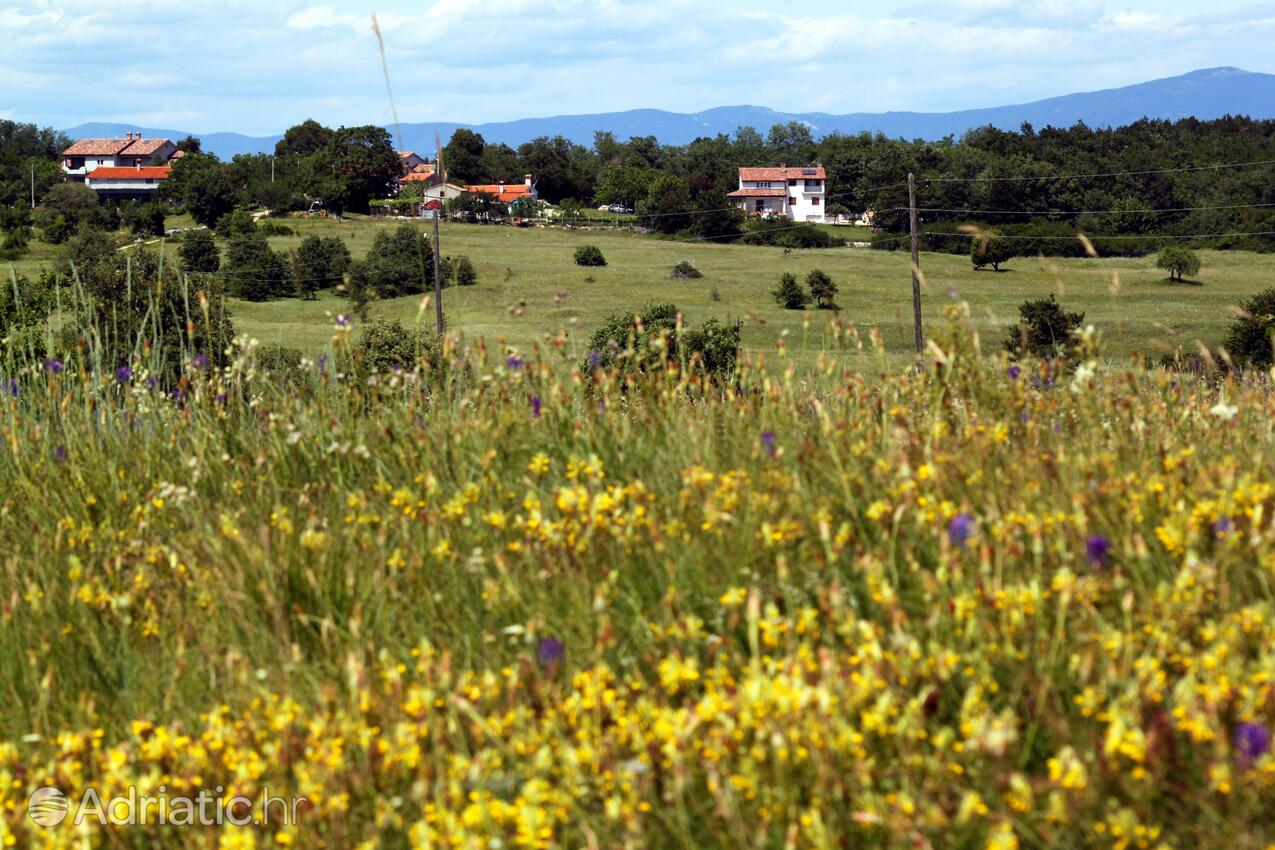 Sveti Martin sulla riviera Središnja Istra (Istra)