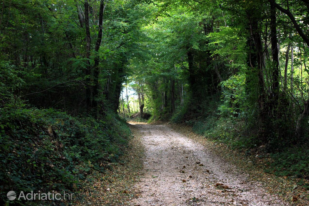 Sveti Martin Središnja Istra riviérán (Istra)