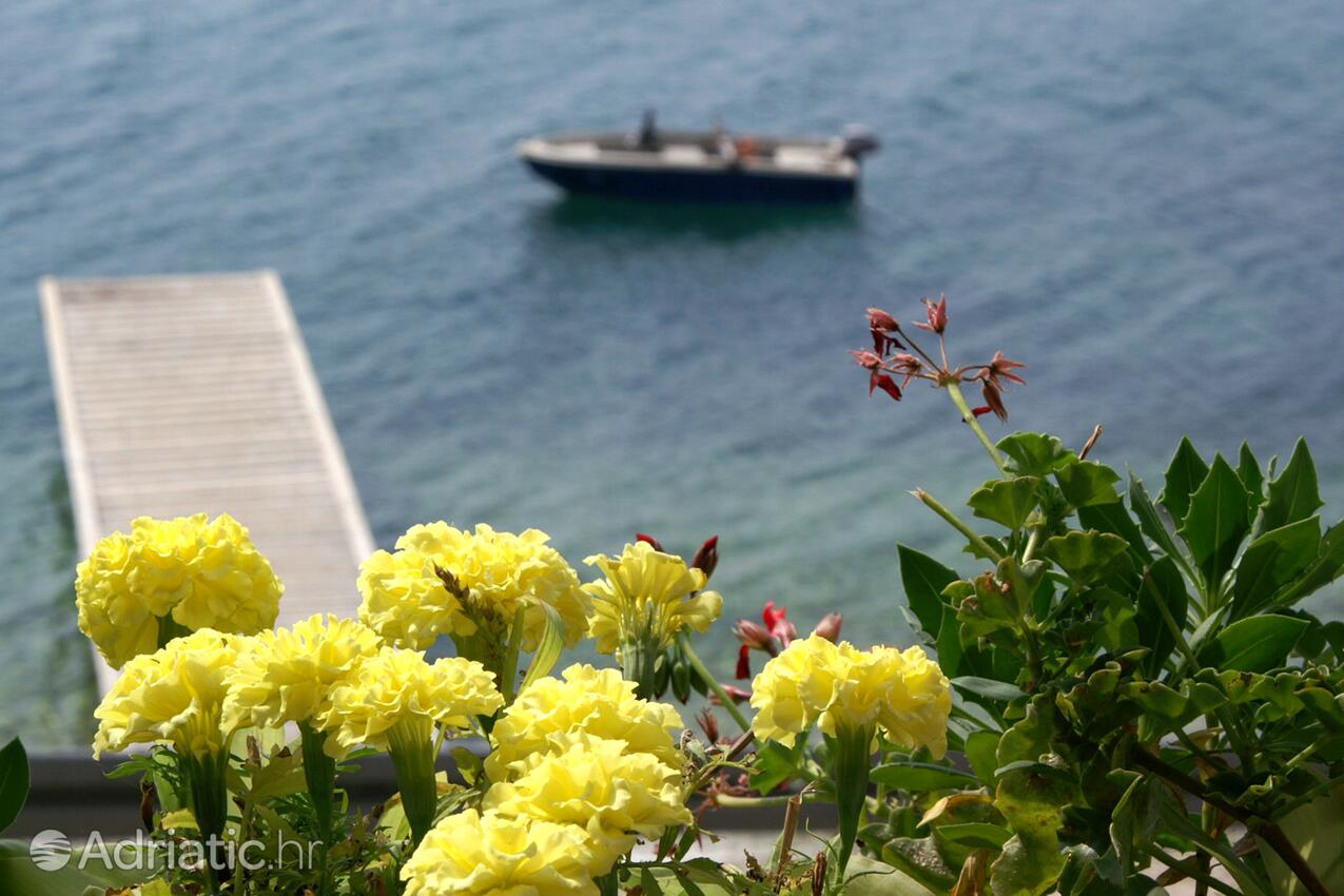 Mali Rat i Rivieran Omiš (Srednja Dalmacija)