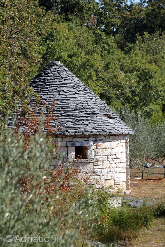 Filipini in riviera Poreč (Istra)