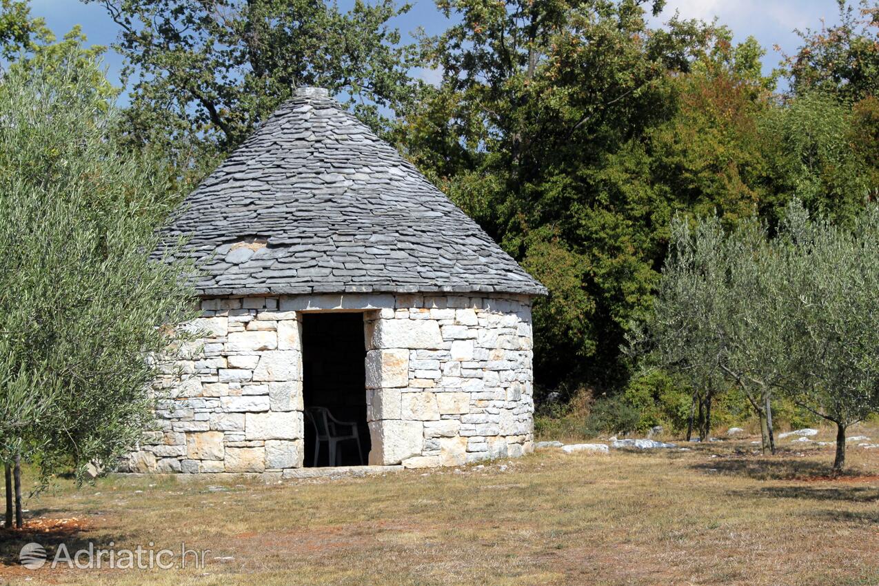 Filipini in riviera Poreč (Istra)