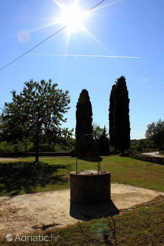 Varvari на Рив'єрі Poreč (Istra)