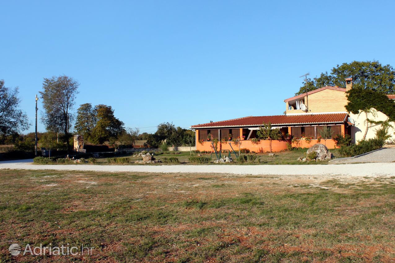 Guran i Rivieran Središnja Istra (Istra)