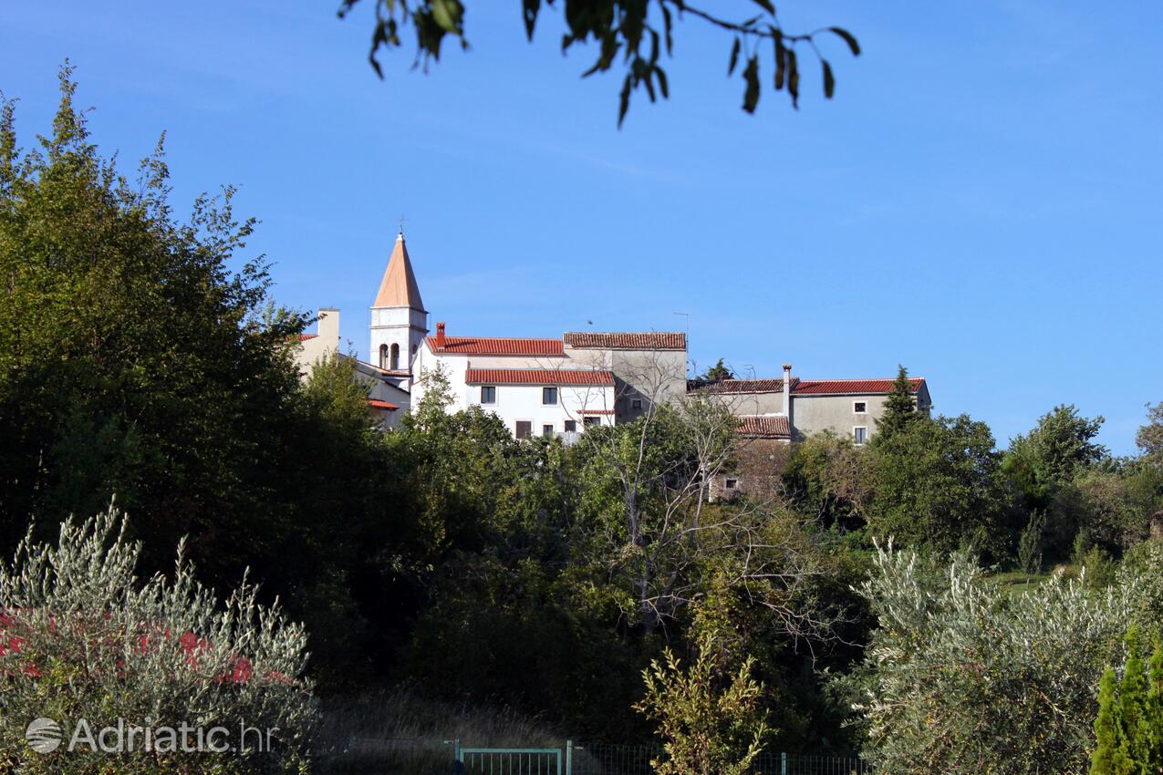 Momjan i Rivieran Središnja Istra (Istra)