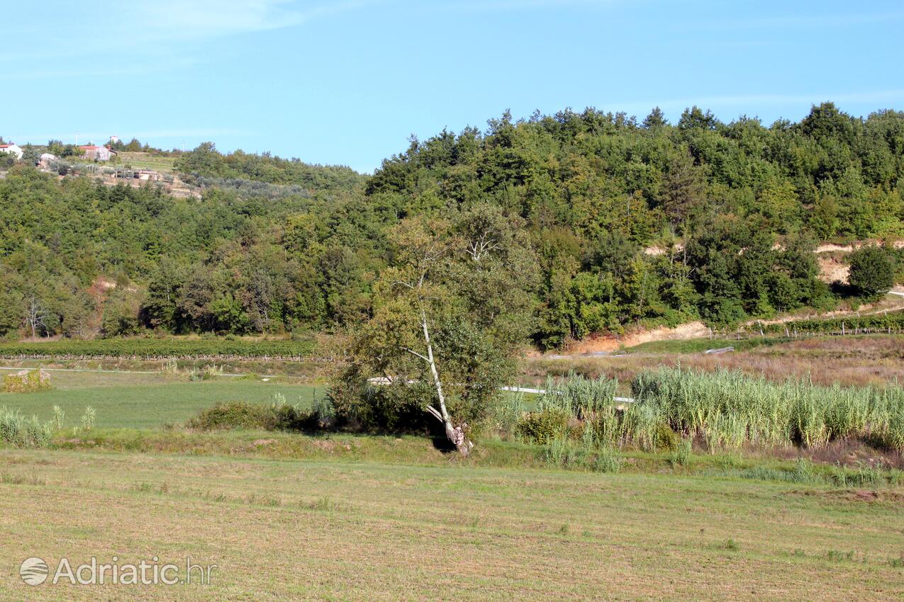 Momjan i Rivieran Središnja Istra (Istra)