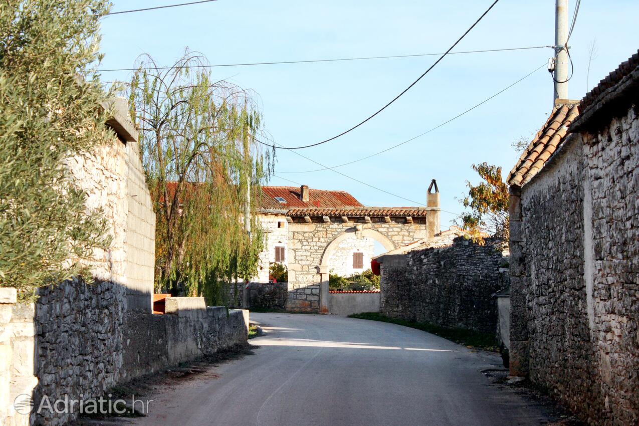 Orihi i Rivieran Središnja Istra (Istra)