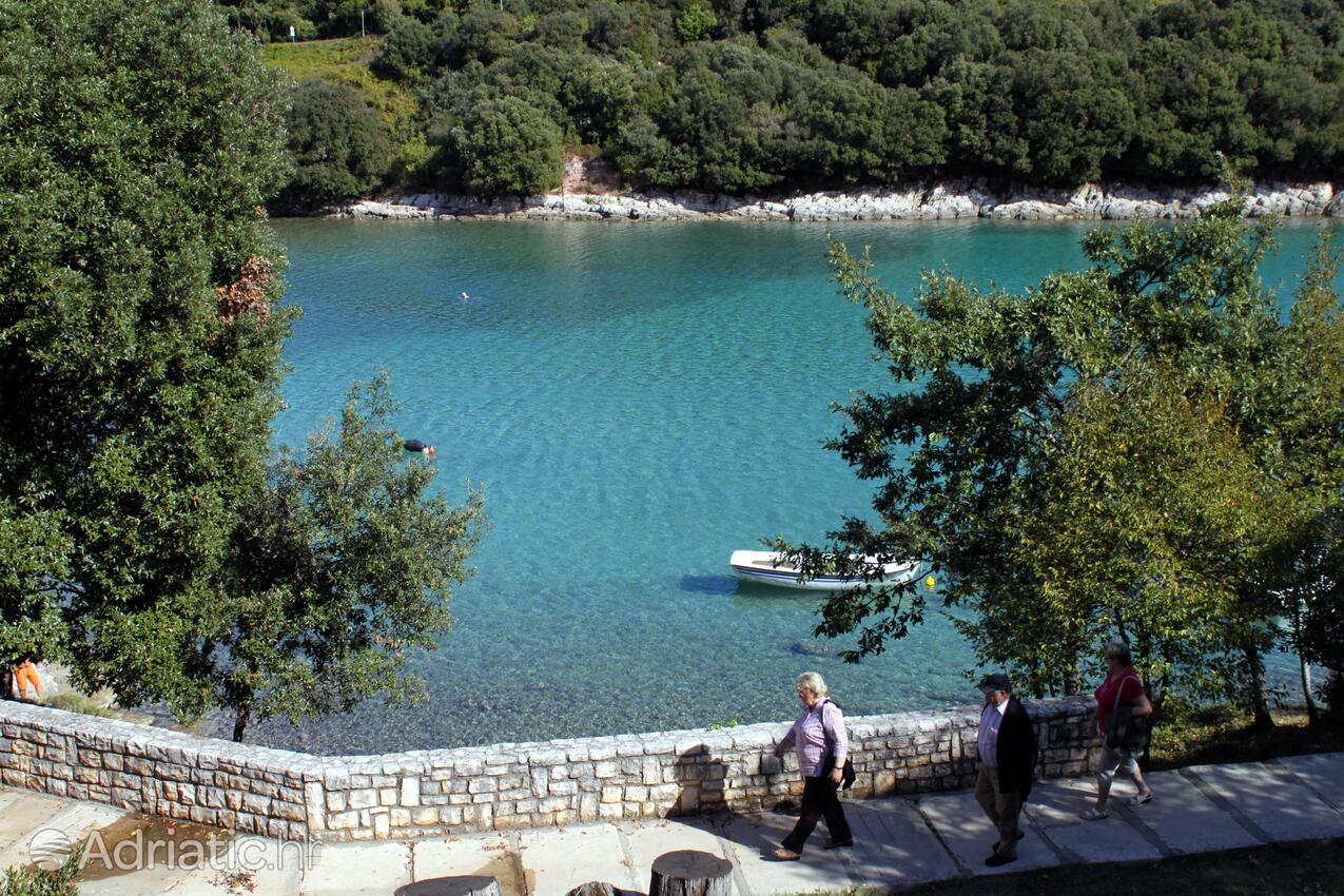 Duga Uvala na rivieri Marčana (Istra)
