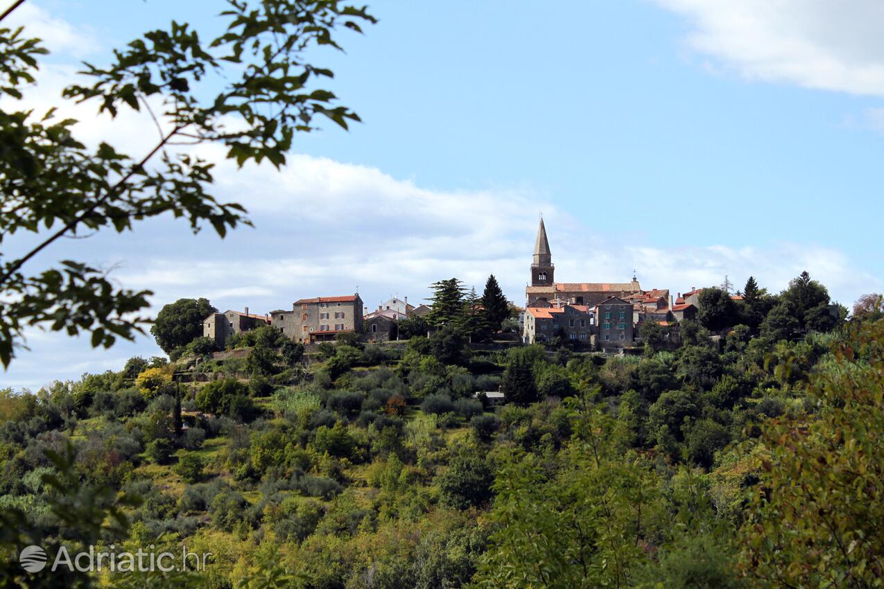 Grožnjan - Bijele Zemlje na rivieri Središnja Istra (Istra)