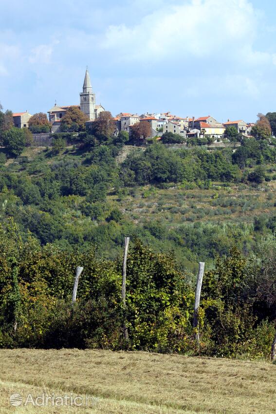 Grožnjan - Bijele Zemlje na rivieri Središnja Istra (Istra)