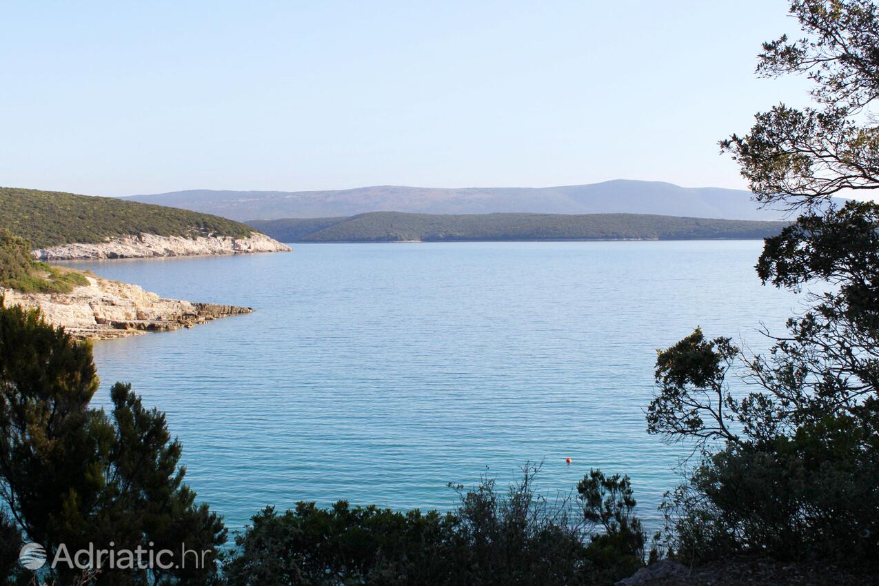 Peruški en la ribera Marčana (Istra)