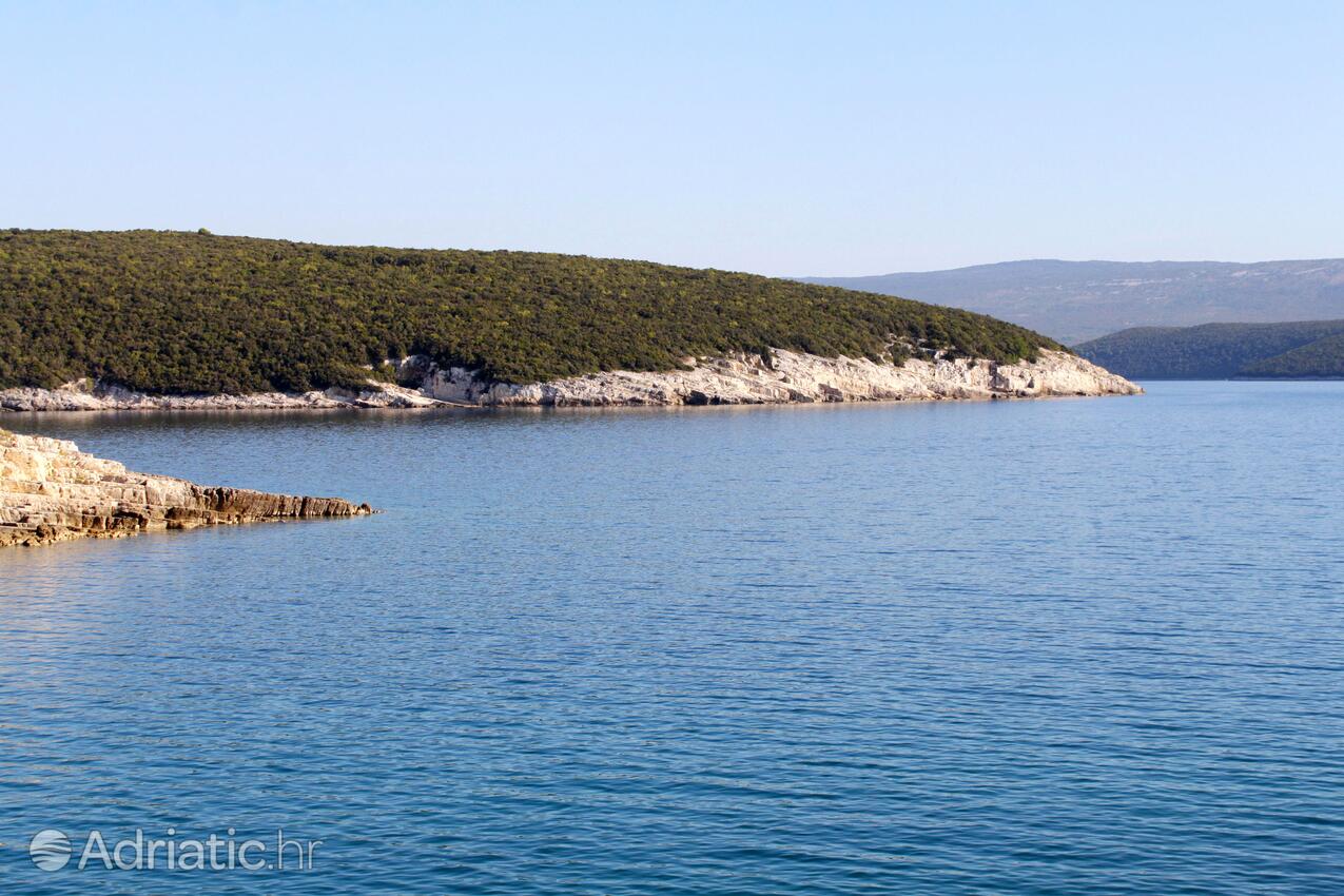 Peruški en la ribera Marčana (Istra)