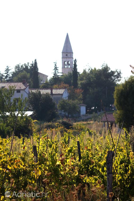 Kaštelir i Rivieran Središnja Istra (Istra)
