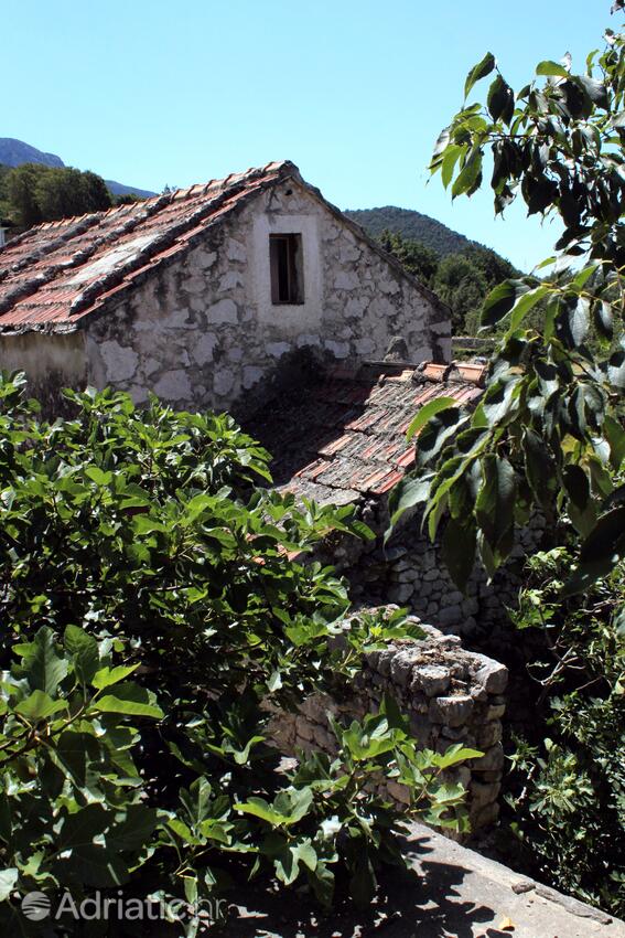 Gornji Tučepi - Tomaši na riviére Makarska (Srednja Dalmacija)