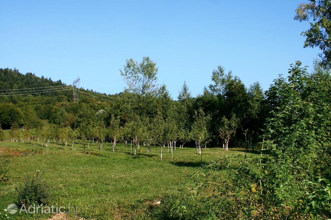 Breze in riviera Novi Vinodolski (Kvarner)