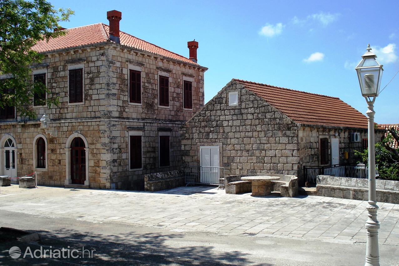 Čilipi en la ribera Dubrovnik (Južna Dalmacija)