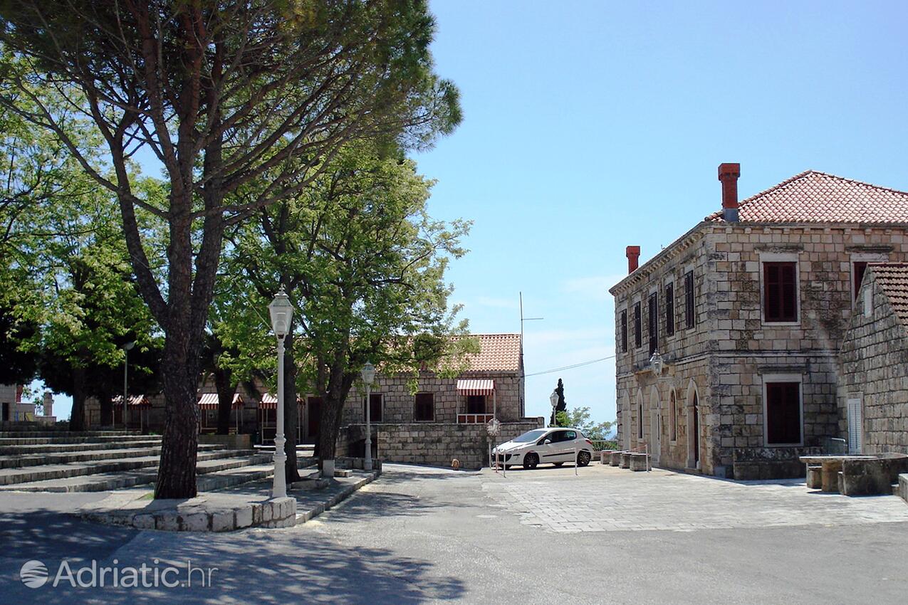 Čilipi en la ribera Dubrovnik (Južna Dalmacija)