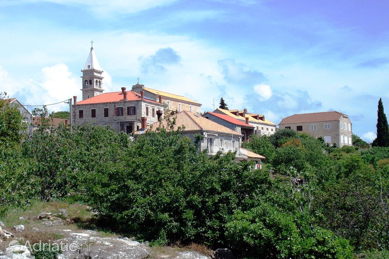 Čilipi en la ribera Dubrovnik (Južna Dalmacija)