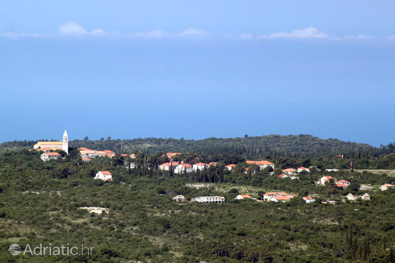 Čilipi en la ribera Dubrovnik (Južna Dalmacija)