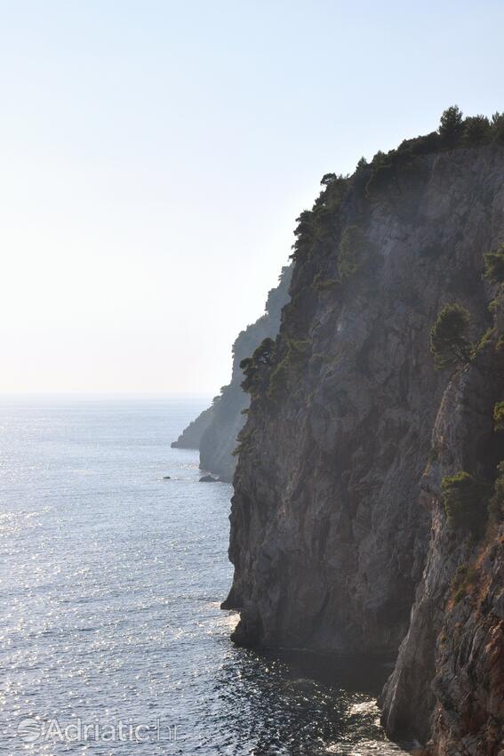 Čilipi en la ribera Dubrovnik (Južna Dalmacija)