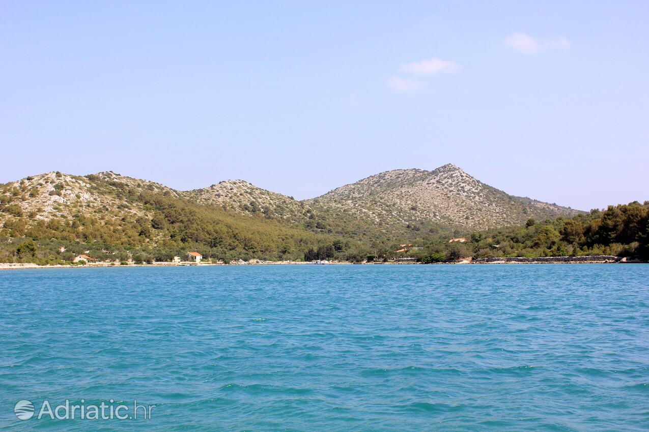 Magrovica - Telašćica na otoku Dugi otok (Sjeverna Dalmacija)