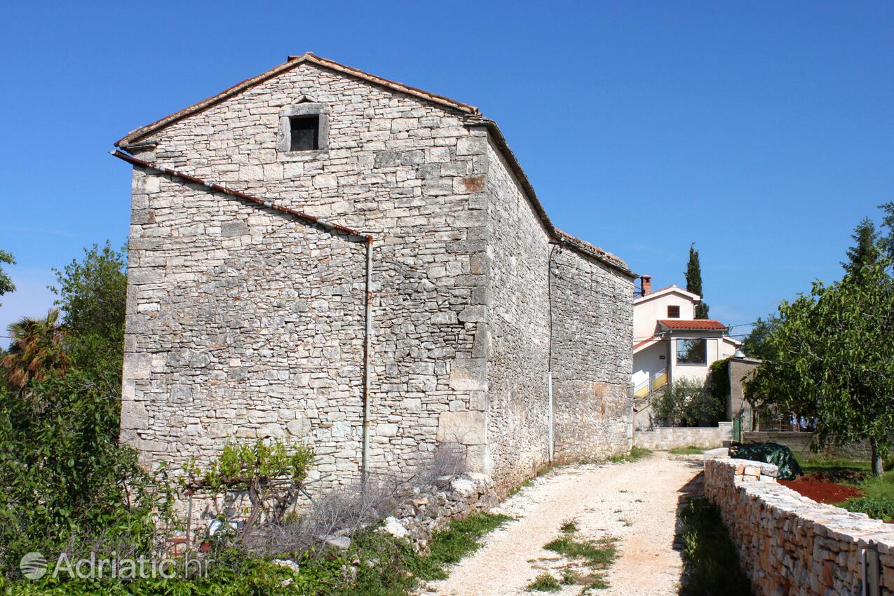 Cukrići u rivijeri Središnja Istra (Istra)