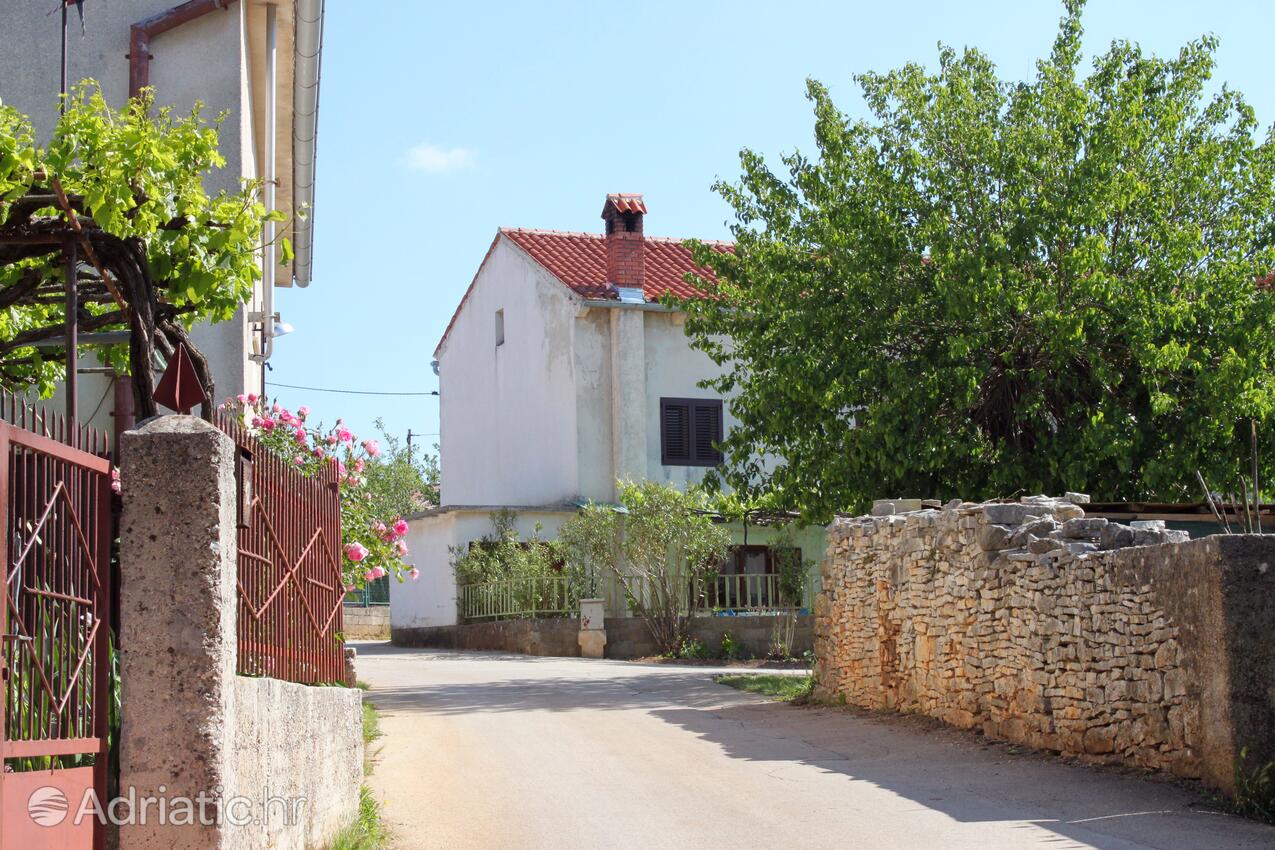 Cukrići u rivijeri Središnja Istra (Istra)