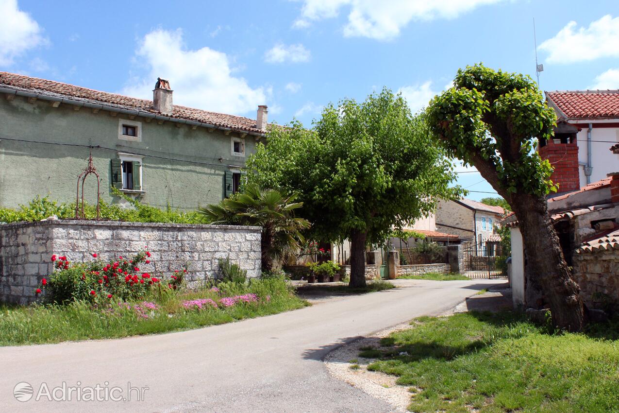 Matohanci na rivieri Središnja Istra (Istra)