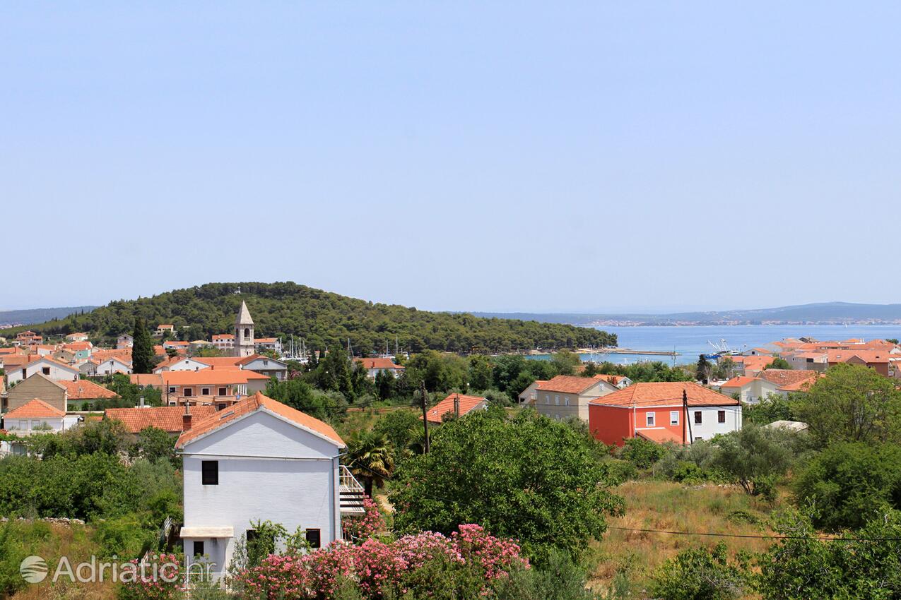 Kukljica Ugljan szigeten (Sjeverna Dalmacija)