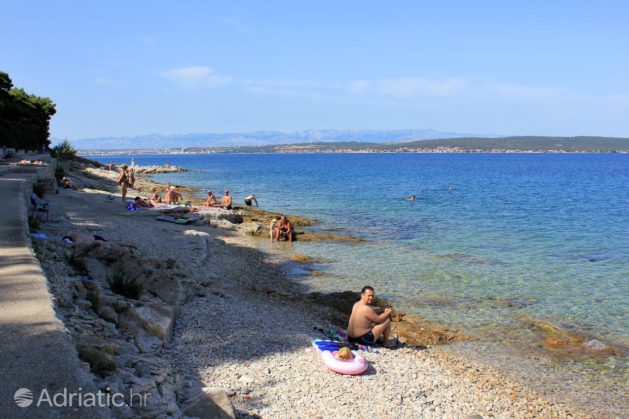 Spiagge nelle vicinanze - Appartamenti accanto al mare Kukljica, Ugliano - Ugljan